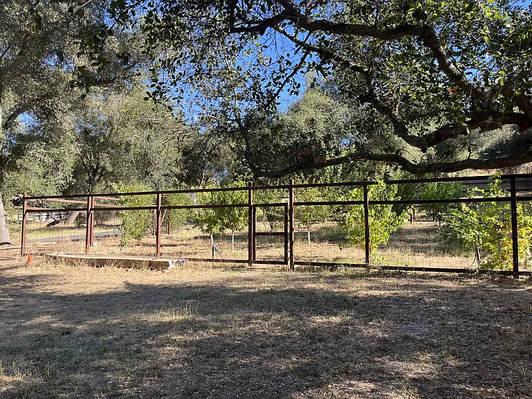 Oakridge Dr — Photo 11