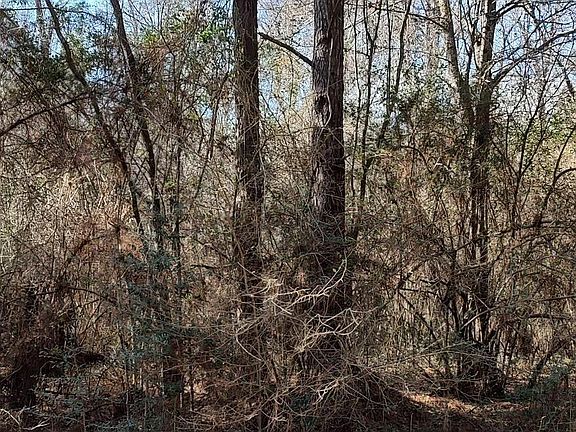 5th image of 0 Pecan Dr