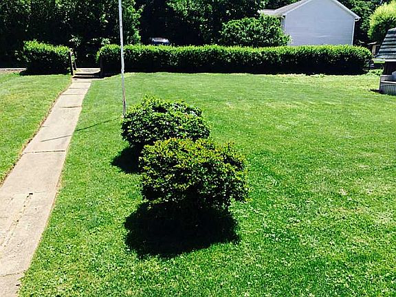 5th image of 817 Forest St