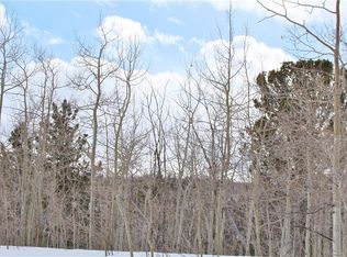 64 Rhea Rd, Como, CO 80456