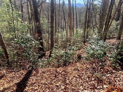 TBD Oak Laurel Drive, Brevard, NC, 28712