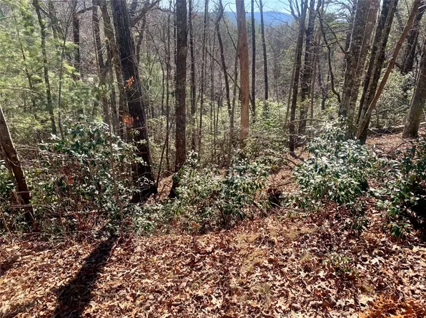 TBD Oak Laurel Drive, Brevard, NC 28712