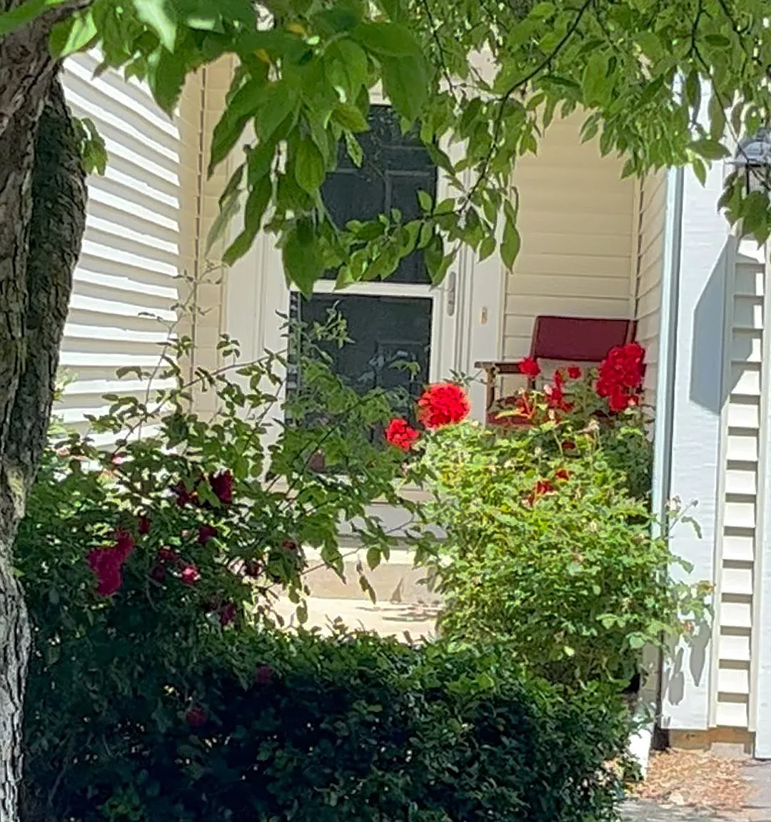 701 Sun Chase Dr — Photo 1