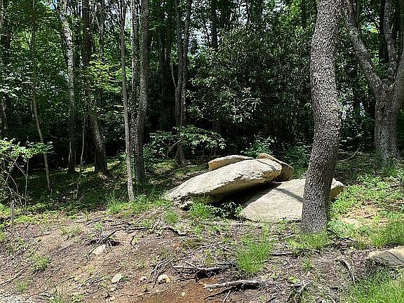 2nd image of Eagles Nest Ln