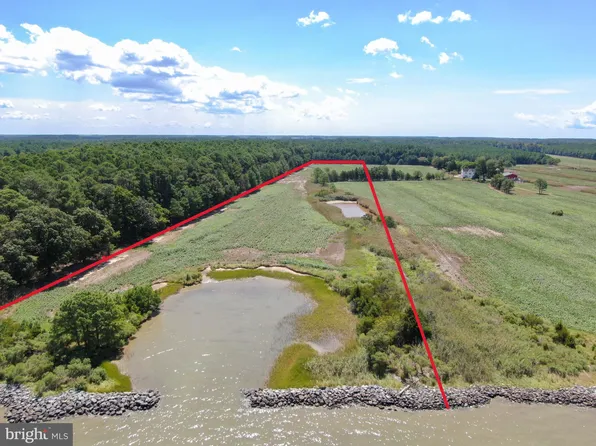 Hooper Nck, Taylors Island, MD 21669