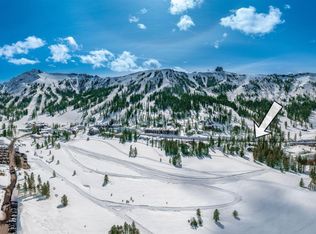 972 Kirkwood Meadows Dr SUITE 9, Markleeville, CA 95646