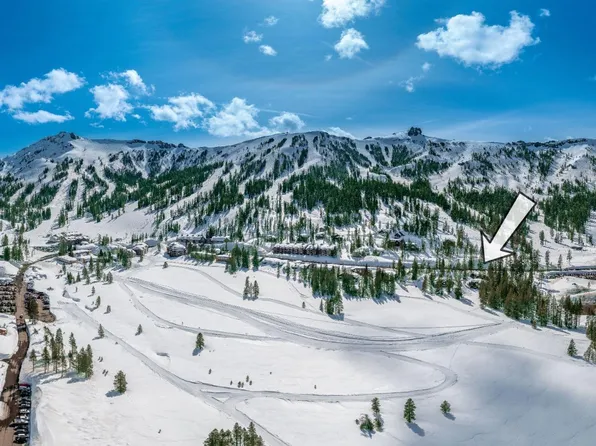 972 Kirkwood Meadows Dr Suite 9, Markleeville, CA 95646