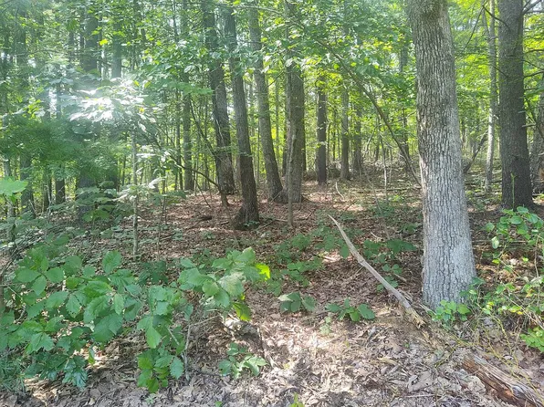 0 Desert Rd, Reva, VA 22735