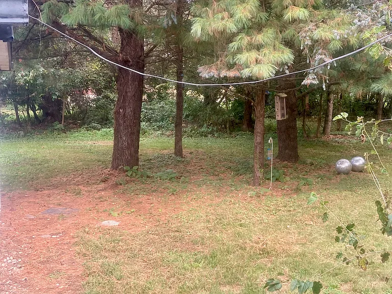 4205 E Scholl Rd — Photo 3