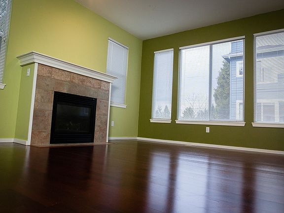 Great Living Room Part 2, Gas Fireplace included