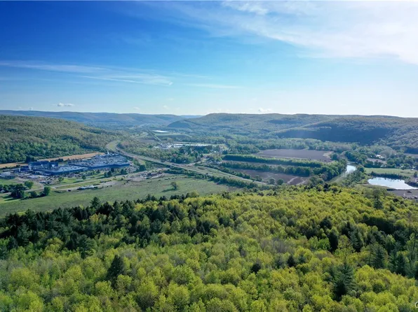 0 Reep Rd #14, Painted Post, NY 14870