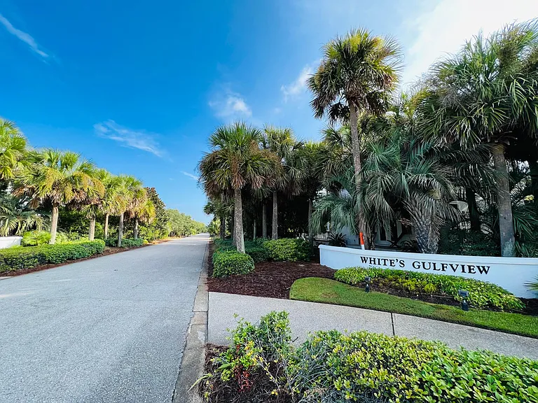 The entrance to the neighborhood is lined with large palm trees. As you drive down the street all you see is trees.