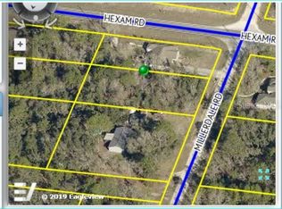 11041 Millerdale Rd, Weeki Wachee, FL 34613