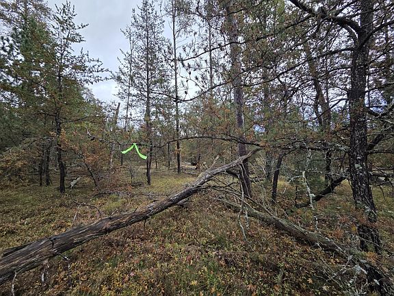 4th image of Vl Federal Rd #6545