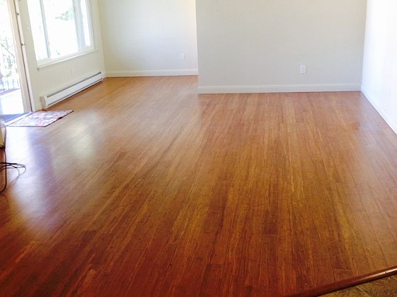 Living Room, Lots of Natural Light