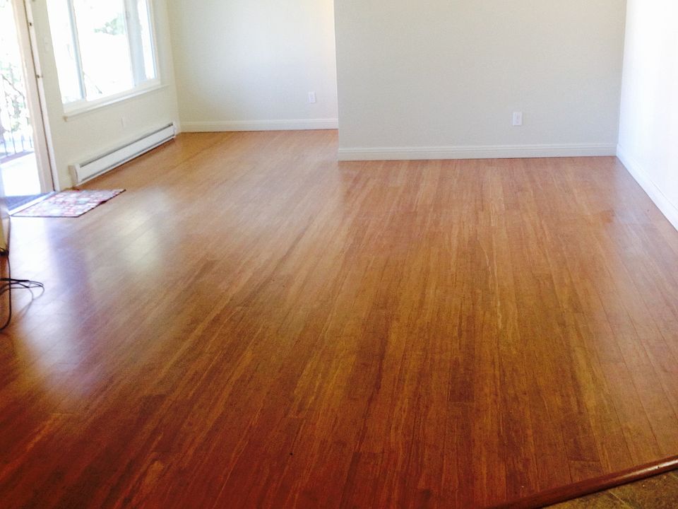 Living Room, Lots of Natural Light