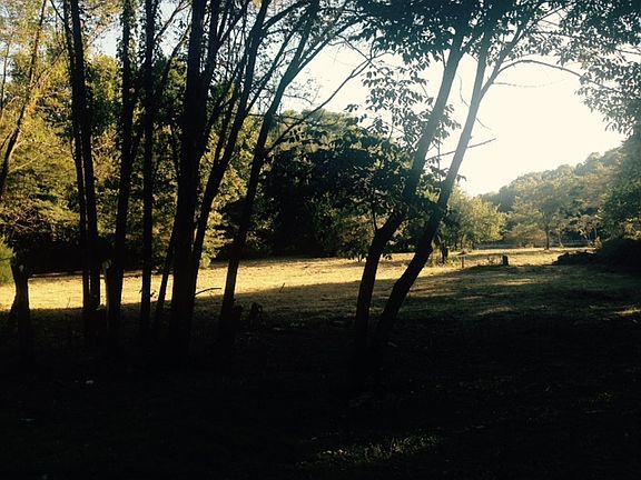 3rd image of 12 Goldsmith Woods