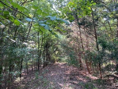 Township Road 1 Cres #41514, Athens, TX, 75751