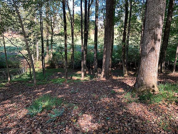 4th image of 2146 Saddle Creek Dr