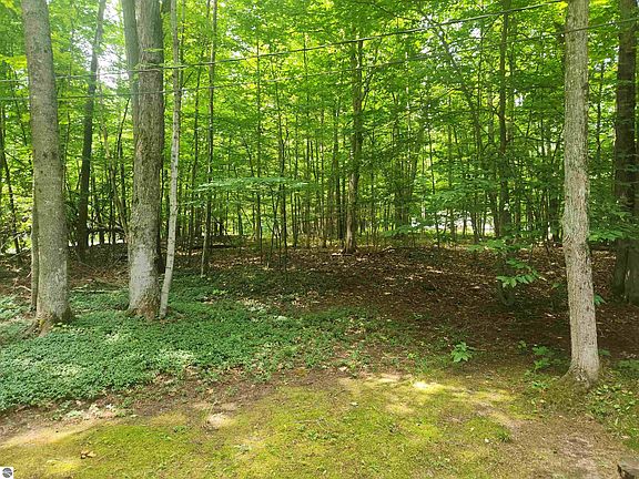 5th image of 0 Birch View Trl