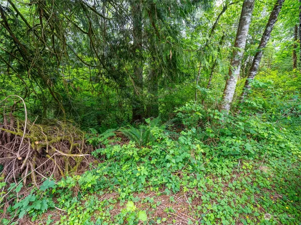 8 Lot 125 Avenue NE, Arlington, WA 98223
