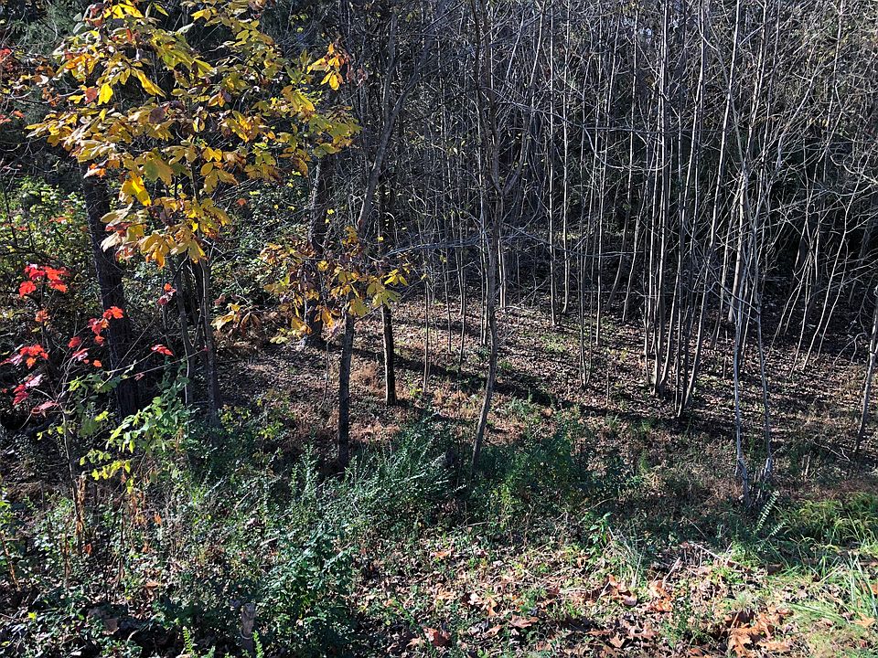 2nd image of Woodhurst Dr
