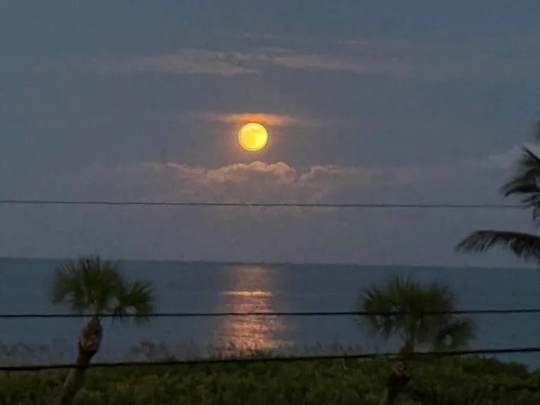 5159 N Highway A1A #311-B — Photo 85