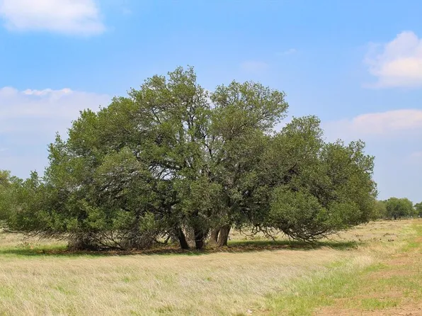 205 Nantan Ln, Harper, TX 78631