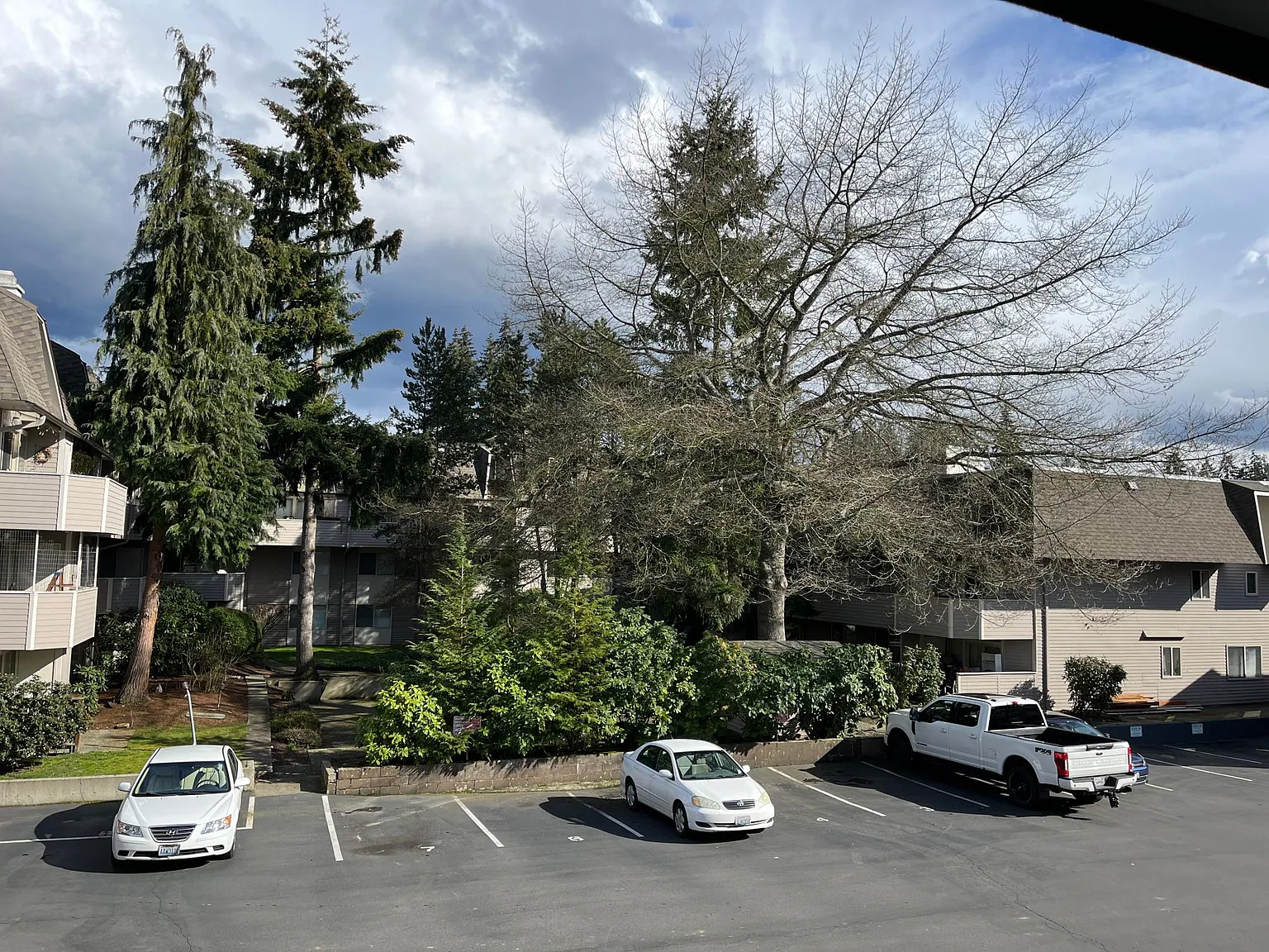 2 bed, 850 sqft, $1,650 — Photo 2