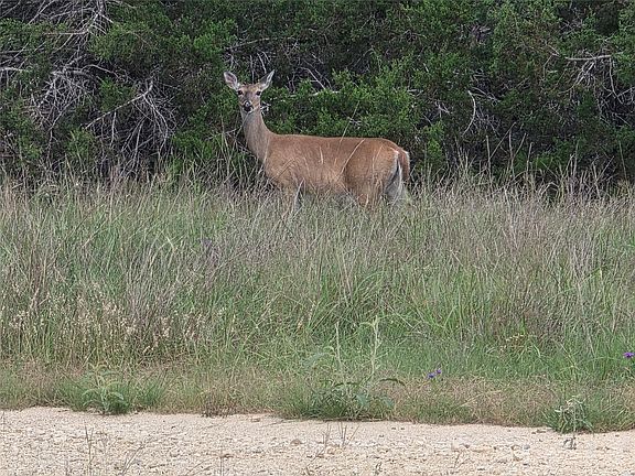 5th image of Sycamore Creek Dr
