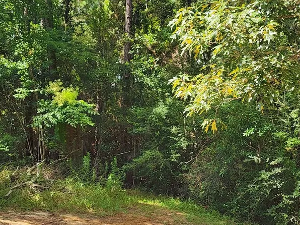 McGregor Rd, Vancleave, MS 39565