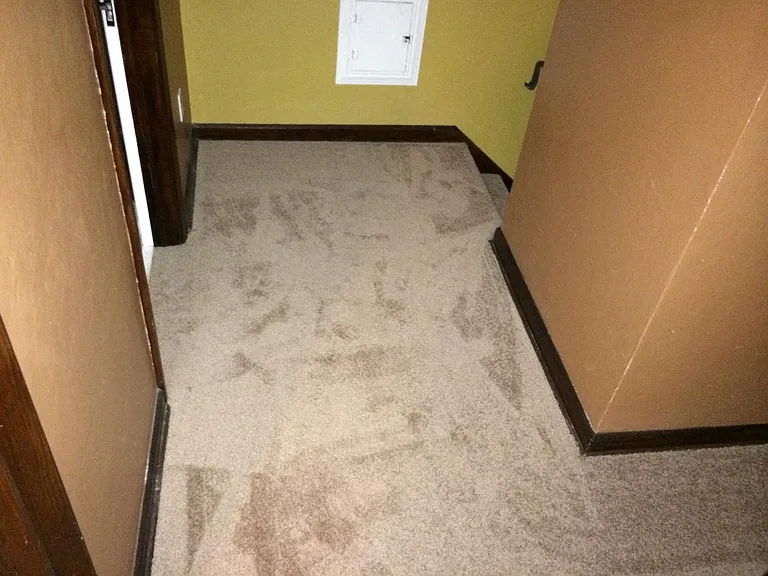 Landing Upstairs