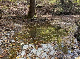 245 Sandlick Rd, Columbia, KY 42728