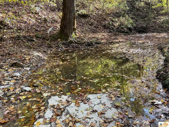 245 Sandlick Rd, Columbia, KY 42728