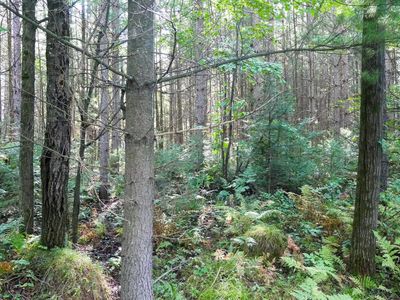 +/-2.82 Acres GRASSY KNOLL TRAIL, Medford, WI, 54451