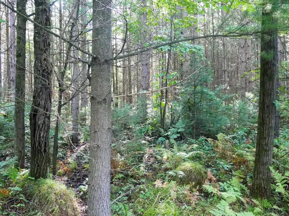 +/-2.82 Acres GRASSY KNOLL TRAIL, Medford, WI 54451