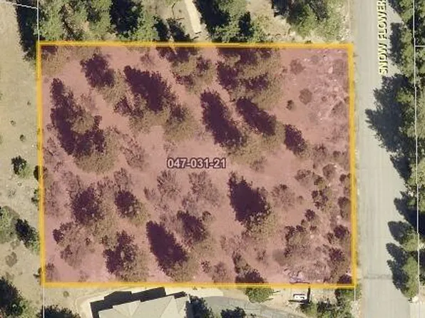 16375 Snow Flower Dr, Reno, NV 89511