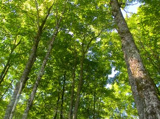 Tbd Parks Farm Rd, Amasa, MI 49903