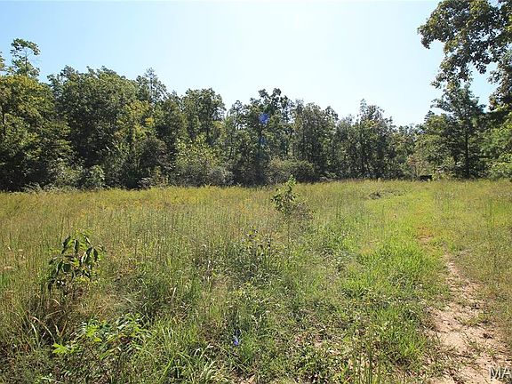 32nd image of 0 Coldwater Crk #Creek_lot-2