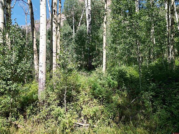 2nd image of 718 Hermosa Cliffs Road