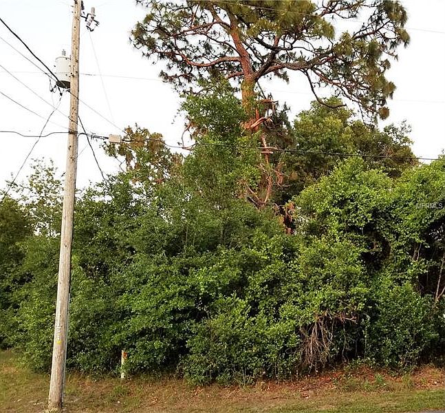 2nd image of Hickory Ave