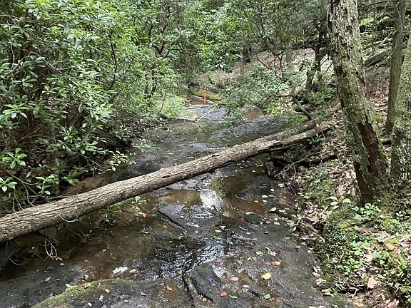 3rd image of 0 Harv Loop Lot 17