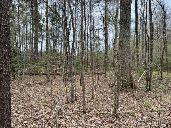 0 Turnaround Ct, Moncks Corner, SC 29461