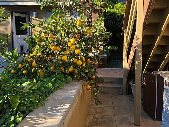 Walkway to Studio