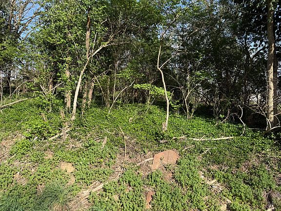 4th image of 0 Bullitt Rd