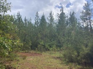 45 Judge Smith Rd, Andalusia, AL 36421