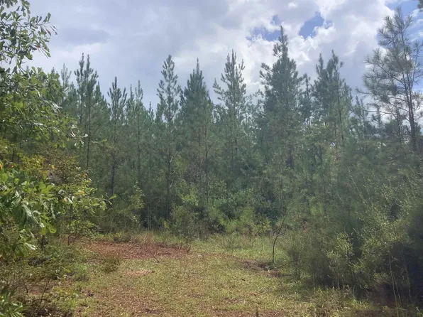 45 Judge Smith Rd, Andalusia, AL 36421