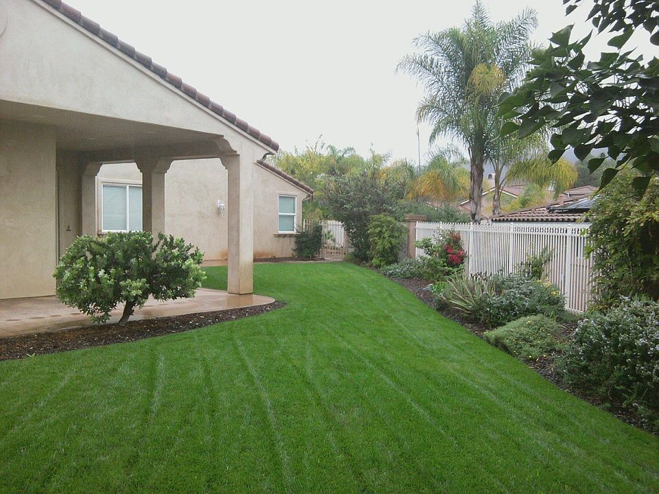Side Yard