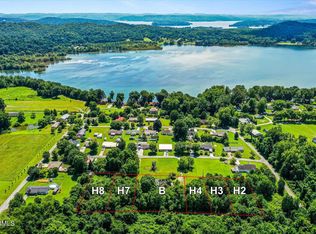 Tonia Dr, Spring City, TN 37381