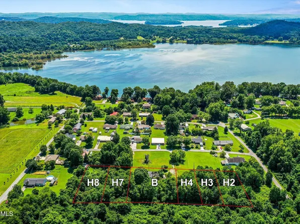 Tonia Dr, Spring City, TN 37381